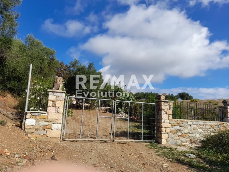 Μονοκατοικία στην Καμάριζα, Λαύριο — Φωτογραφία 7 από 16