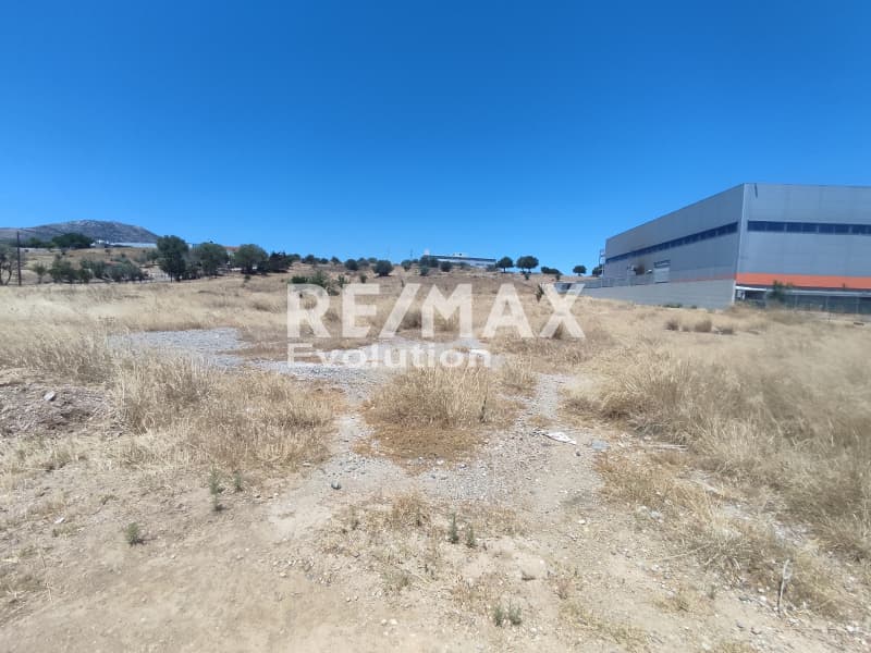 Οικόπεδο στην Ρουντζέρι Λεμπρού, Κερατέα — Φωτογραφία 6 από 6
