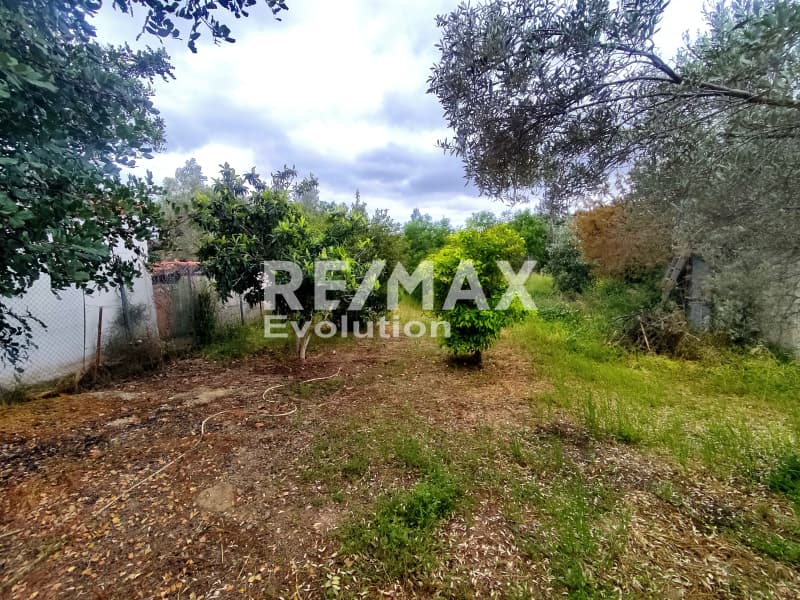 House in Rountzeri Lemprou, Keratea — Photo 15 of 29
