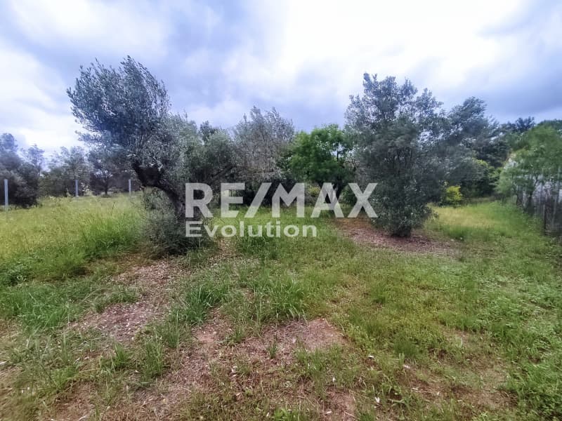 House in Rountzeri Lemprou, Keratea — Photo 8 of 29