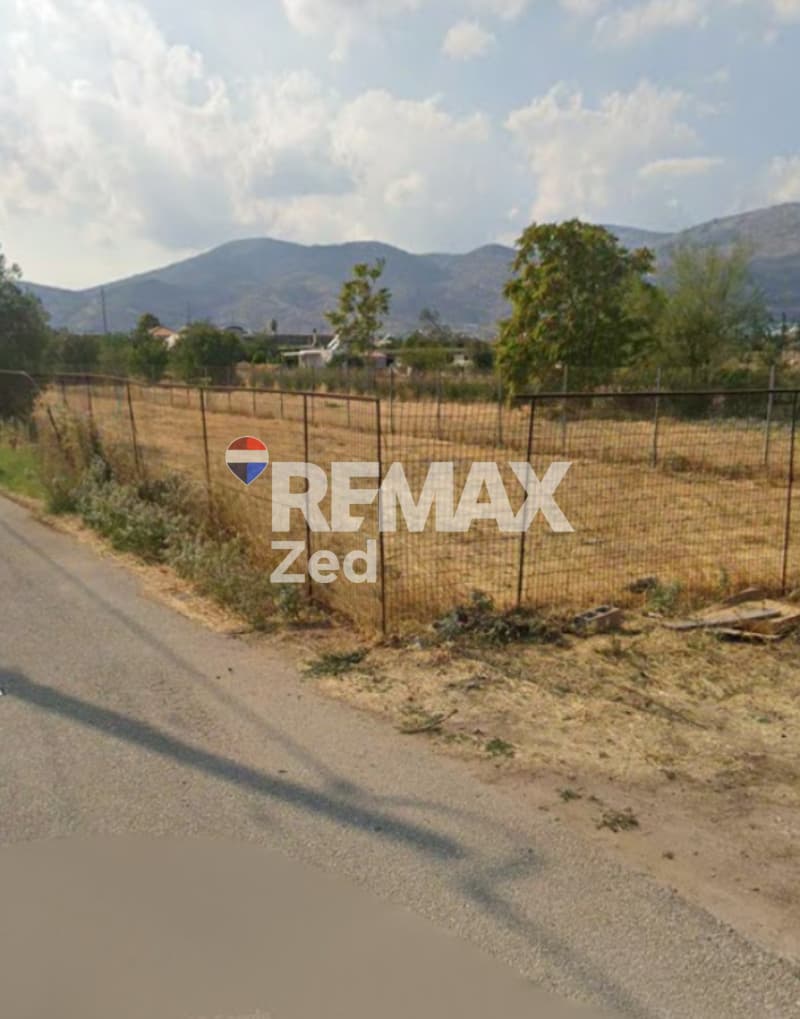 Οικόπεδο στην Αγριλέζα, Ανθηδώνος — Φωτογραφία 5 από 6