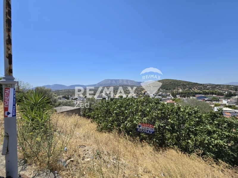 Οικόπεδο στην Νεάπολη, Σπάτα — Φωτογραφία 4 από 5