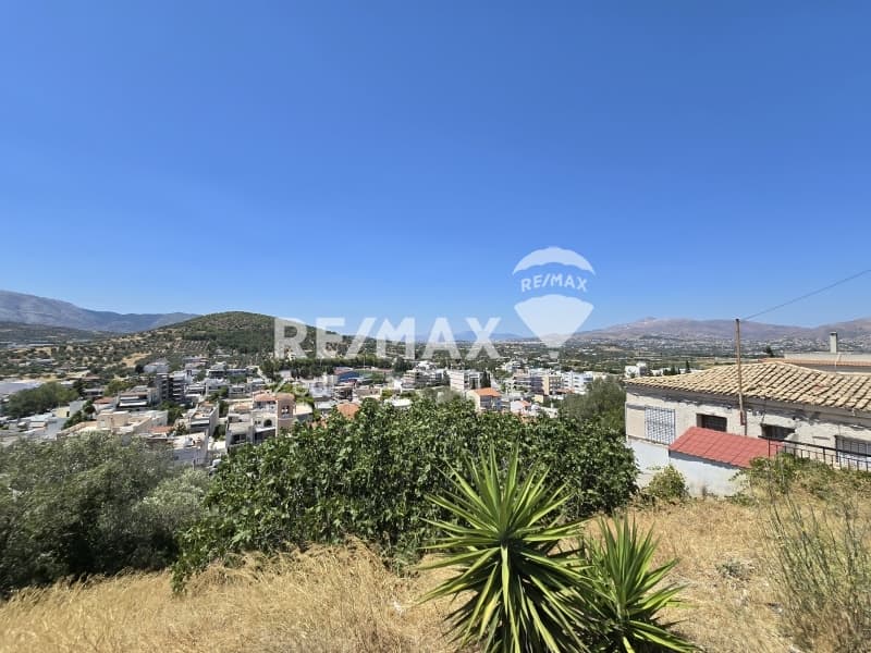 Οικόπεδο στην Νεάπολη, Σπάτα — Φωτογραφία 1 από 5
