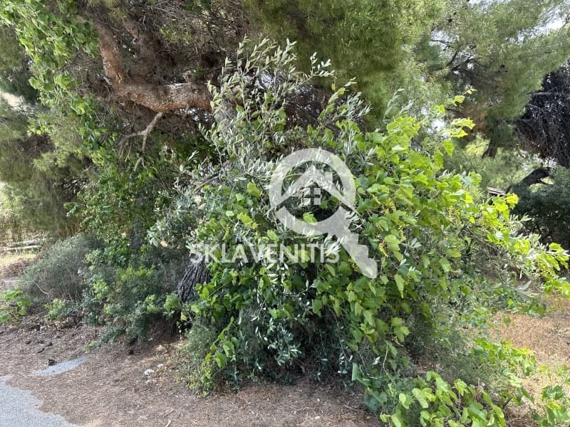 Οικόπεδο στην Άγιος Σεραφείμ, Αρτέμιδα (Λούτσα) — Φωτογραφία 2 από 2