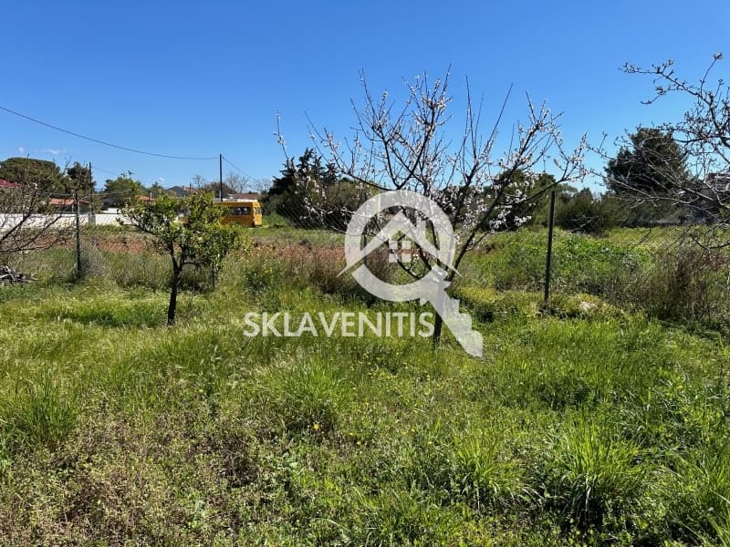 Οικόπεδο στην Άγιος Μηνάς, Αρτέμιδα (Λούτσα) — Φωτογραφία 4 από 5