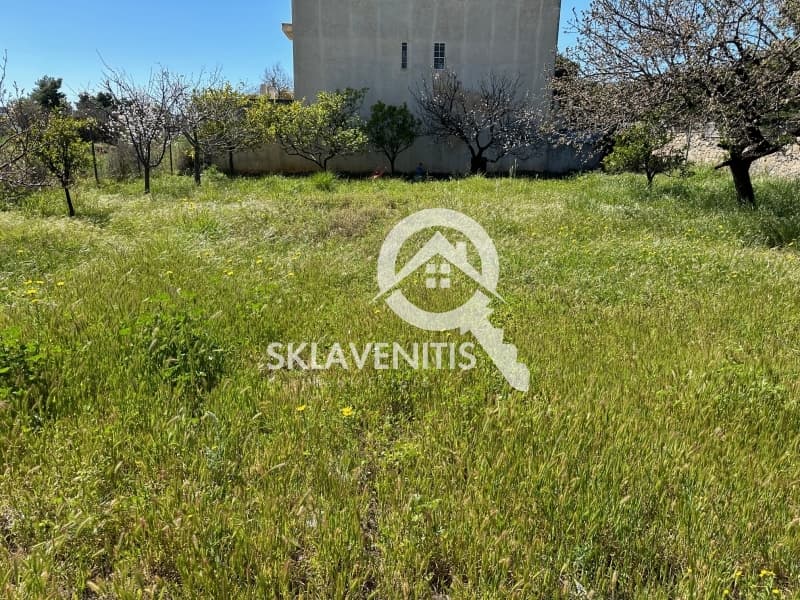 Οικόπεδο στην Άγιος Μηνάς, Αρτέμιδα (Λούτσα) — Φωτογραφία 2 από 5