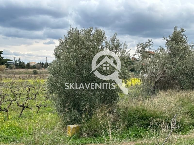Οικόπεδο στην Άγιος Μηνάς, Αρτέμιδα (Λούτσα) — Φωτογραφία 1 από 5