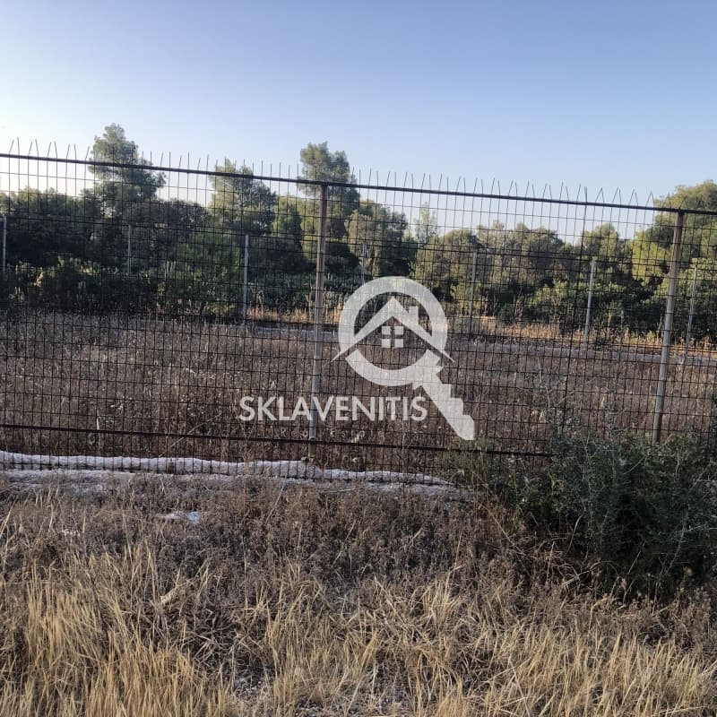 Οικόπεδο στην Βορινέζα, Αρτέμιδα (Λούτσα) — Φωτογραφία 1 από 3
