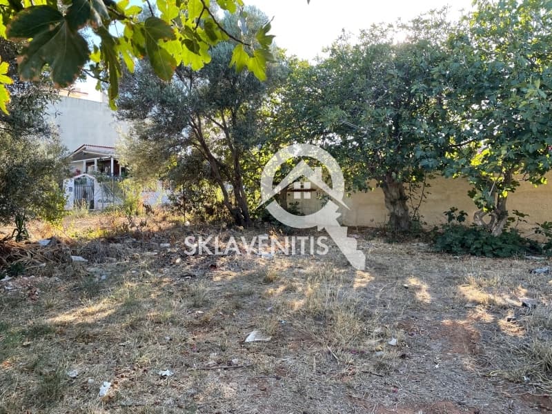 Οικόπεδο στην Βορινέζα, Αρτέμιδα (Λούτσα) — Φωτογραφία 1 από 4