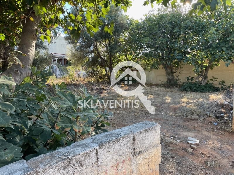 Οικόπεδο στην Βορινέζα, Αρτέμιδα (Λούτσα) — Φωτογραφία 3 από 4