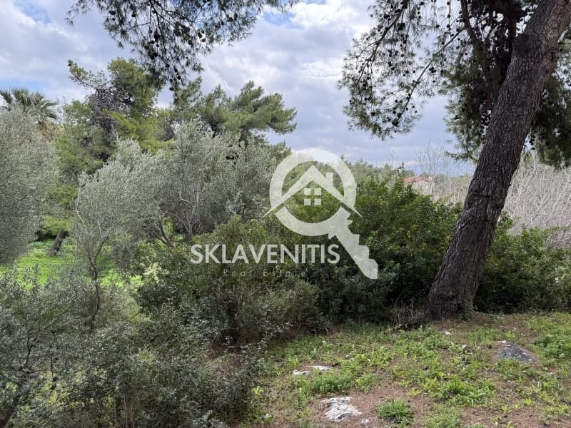 Οικόπεδο στην Διώνη, Πικέρμι — Φωτογραφία 14 από 15