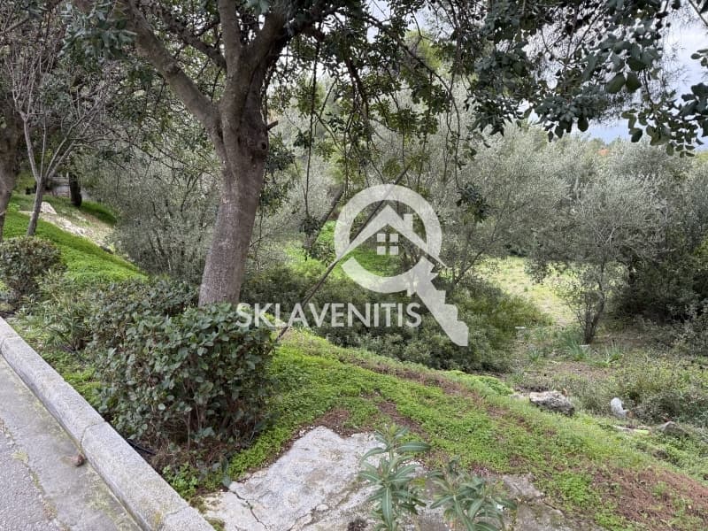 Οικόπεδο στην Διώνη, Πικέρμι — Φωτογραφία 2 από 15