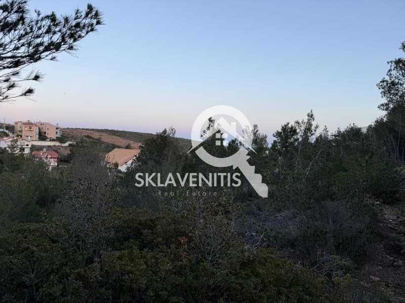 Οικόπεδο στην Δασαμάρι, Πικέρμι — Φωτογραφία 9 από 9