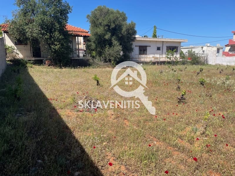 Οικόπεδο στην Κέντρο, Αρτέμιδα (Λούτσα) — Φωτογραφία 1 από 4
