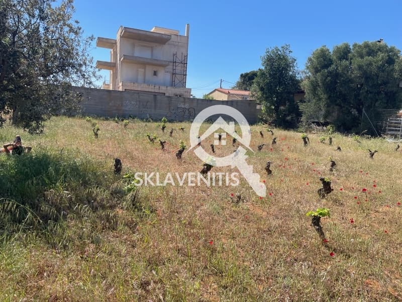 Οικόπεδο στην Κέντρο, Αρτέμιδα (Λούτσα) — Φωτογραφία 3 από 4