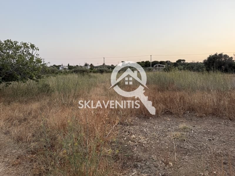 Αγροτεμάχιο στην Νεάπολη, Σπάτα — Φωτογραφία 10 από 12