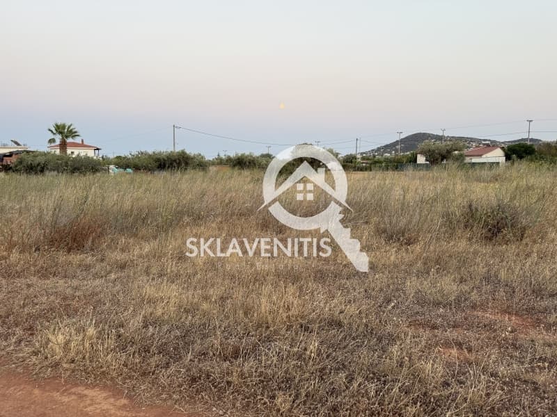 Αγροτεμάχιο στην Νεάπολη, Σπάτα — Φωτογραφία 8 από 12