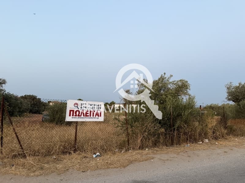Αγροτεμάχιο στην Νεάπολη, Σπάτα — Φωτογραφία 1 από 12