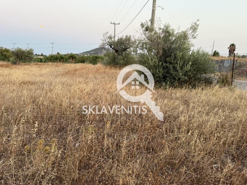 Αγροτεμάχιο στην Νεάπολη, Σπάτα — Φωτογραφία 5 από 12