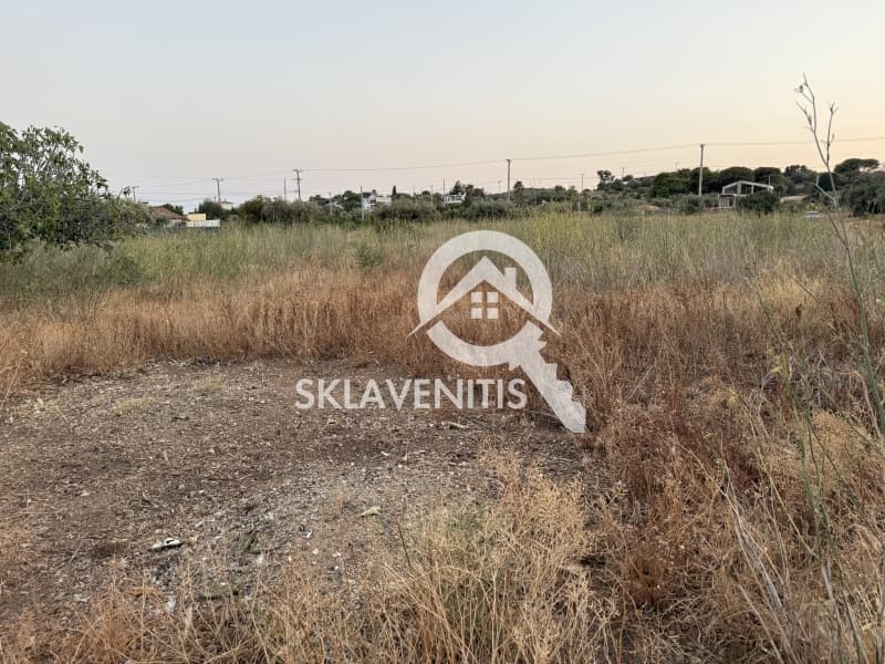 Αγροτεμάχιο στην Νεάπολη, Σπάτα — Φωτογραφία 11 από 12