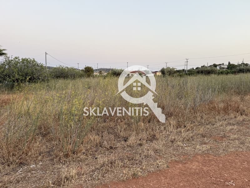 Αγροτεμάχιο στην Νεάπολη, Σπάτα — Φωτογραφία 9 από 12