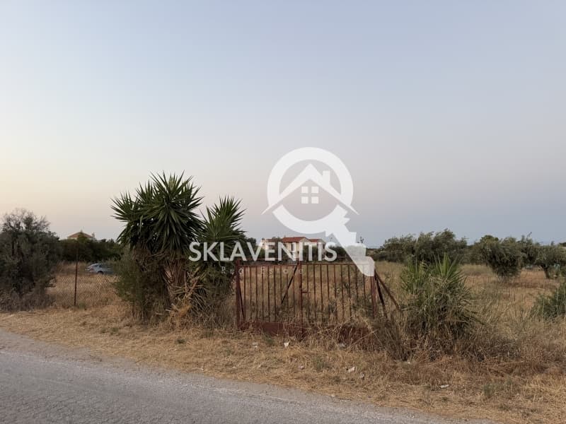Αγροτεμάχιο στην Νεάπολη, Σπάτα — Φωτογραφία 2 από 12