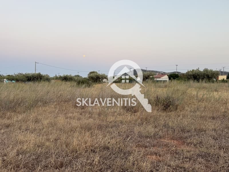 Αγροτεμάχιο στην Νεάπολη, Σπάτα — Φωτογραφία 7 από 12