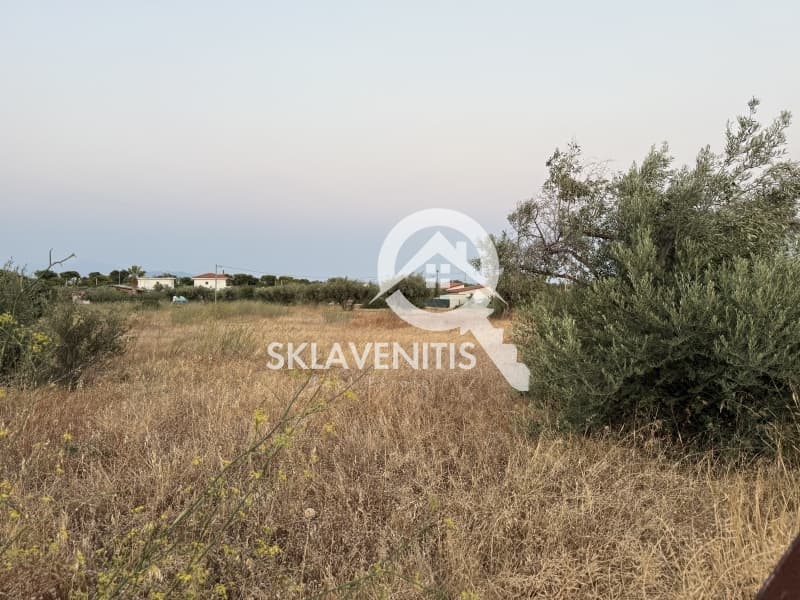 Αγροτεμάχιο στην Νεάπολη, Σπάτα — Φωτογραφία 4 από 12