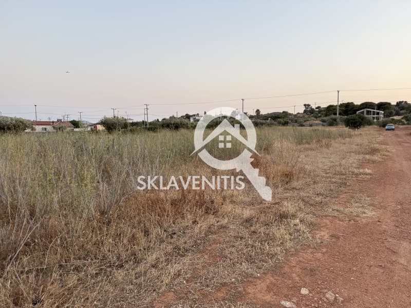 Αγροτεμάχιο στην Νεάπολη, Σπάτα — Φωτογραφία 12 από 12