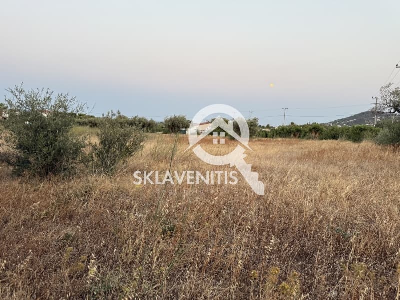Αγροτεμάχιο στην Νεάπολη, Σπάτα — Φωτογραφία 6 από 12