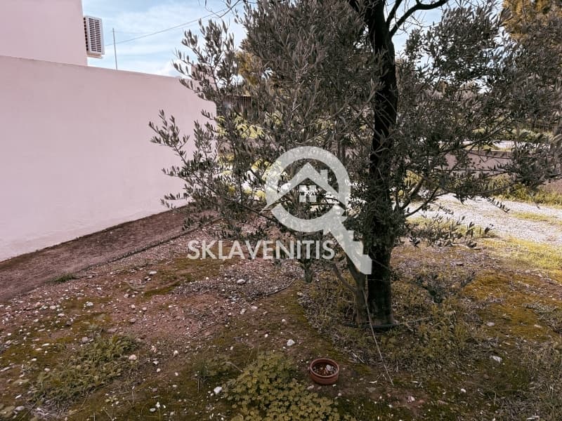 Μονοκατοικία στην Αγία Κυριακή, Ραφήνα — Φωτογραφία 22 από 27