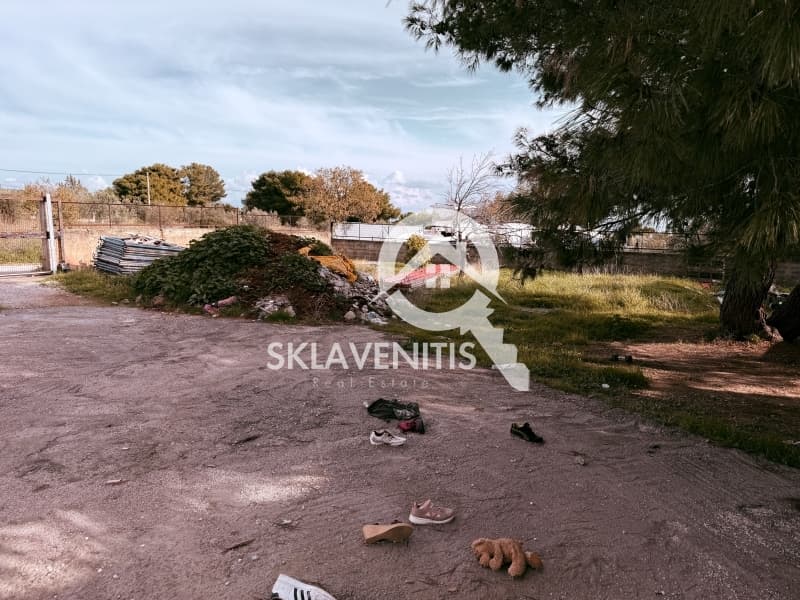 Μονοκατοικία στην Αγία Κυριακή, Ραφήνα — Φωτογραφία 4 από 14