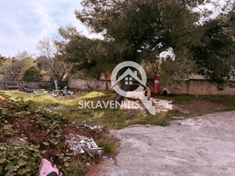 Μονοκατοικία στην Αγία Κυριακή, Ραφήνα — Φωτογραφία 13 από 14