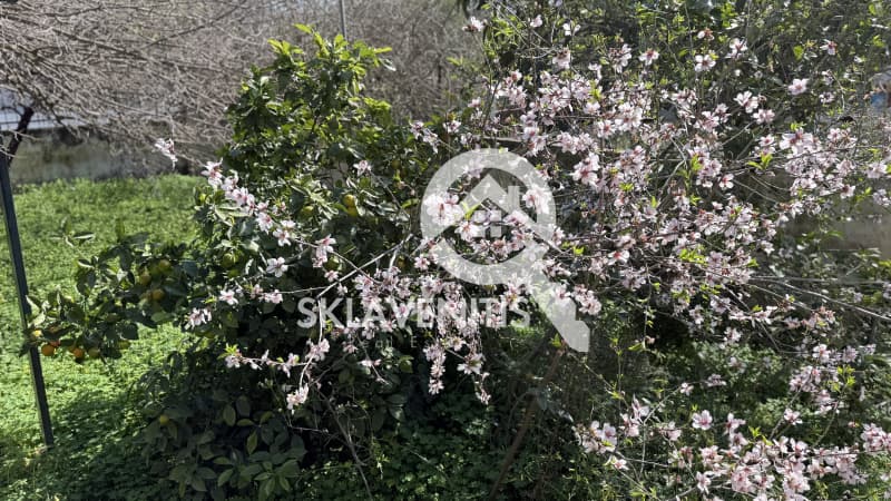 Μονοκατοικία στην Κέντρο, Αρτέμιδα (Λούτσα) — Φωτογραφία 6 από 18