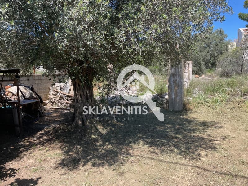 Οικόπεδο στην Βορινέζα, Αρτέμιδα (Λούτσα) — Φωτογραφία 4 από 4