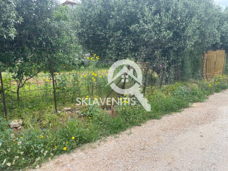 Οικόπεδο στην Βορινέζα, Αρτέμιδα (Λούτσα) — Φωτογραφία 5 από 5