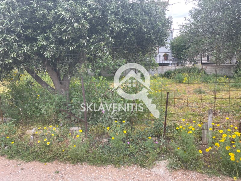 Οικόπεδο στην Βορινέζα, Αρτέμιδα (Λούτσα) — Φωτογραφία 1 από 5