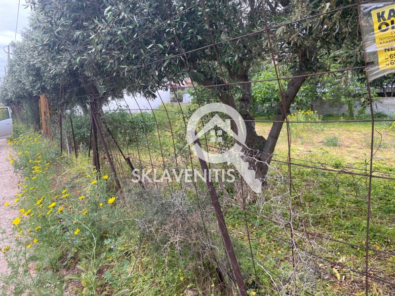 Οικόπεδο στην Βορινέζα, Αρτέμιδα (Λούτσα) — Φωτογραφία 2 από 5