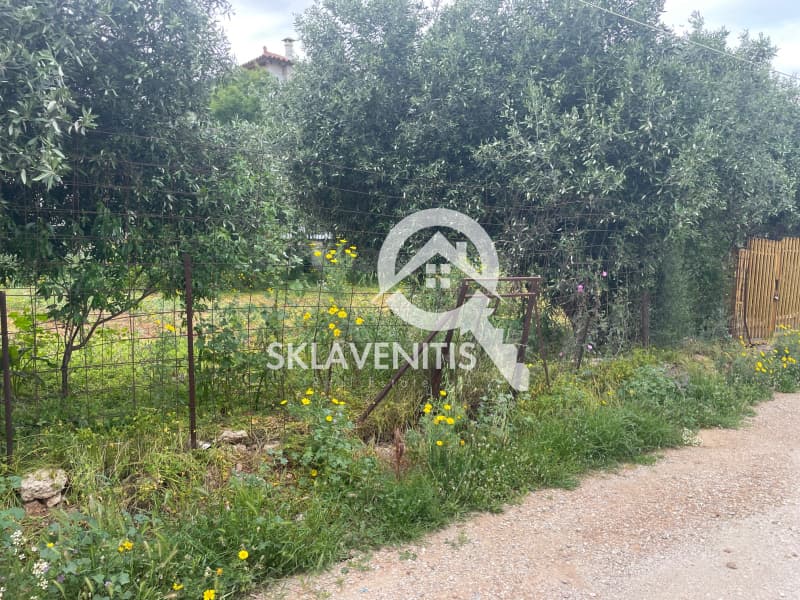 Οικόπεδο στην Βορινέζα, Αρτέμιδα (Λούτσα) — Φωτογραφία 4 από 5