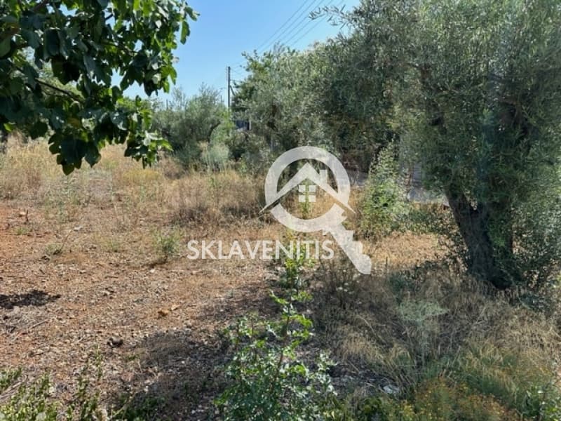 Οικόπεδο στην Βορινέζα, Αρτέμιδα (Λούτσα) — Φωτογραφία 1 από 6