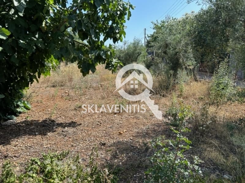 Οικόπεδο στην Βορινέζα, Αρτέμιδα (Λούτσα) — Φωτογραφία 2 από 6