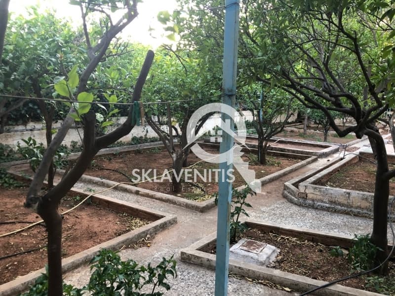 Μονοκατοικία στην Άγιος Σεραφείμ, Αρτέμιδα (Λούτσα) — Φωτογραφία 10 από 14