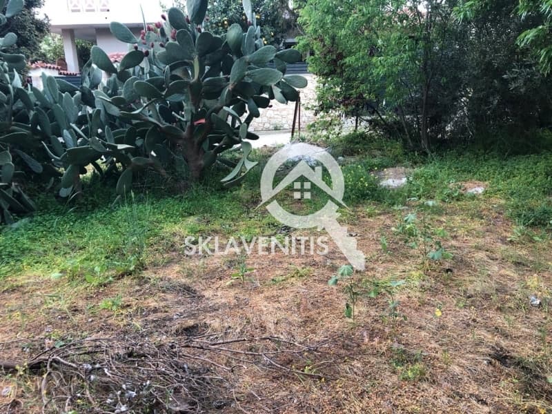 Οικόπεδο στην Άγιος Σεραφείμ, Αρτέμιδα (Λούτσα) — Φωτογραφία 5 από 6