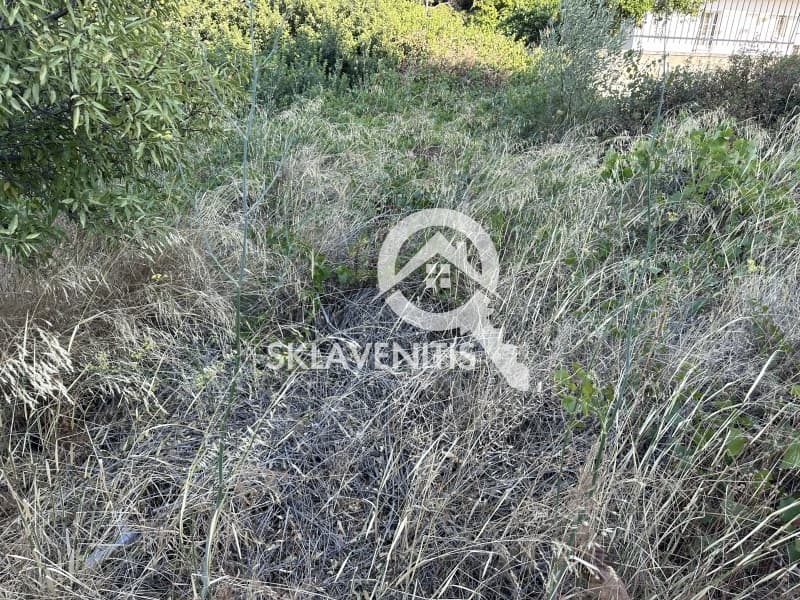 Οικόπεδο στην Βορινέζα, Αρτέμιδα (Λούτσα) — Φωτογραφία 3 από 4