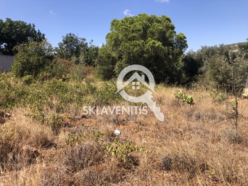 Οικόπεδο στην Βορινέζα, Αρτέμιδα (Λούτσα) — Φωτογραφία 4 από 6