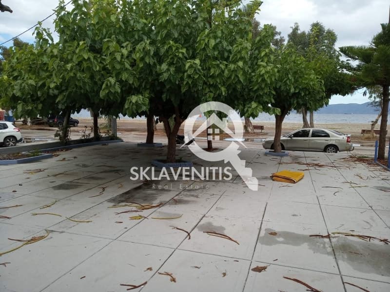 Αίθουσα Εκδηλώσεων στην Πευκί, Αρτεμίσιο — Φωτογραφία 4 από 5