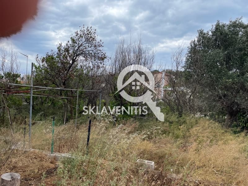 Οικόπεδο στην Βορινέζα, Αρτέμιδα (Λούτσα) — Φωτογραφία 6 από 6