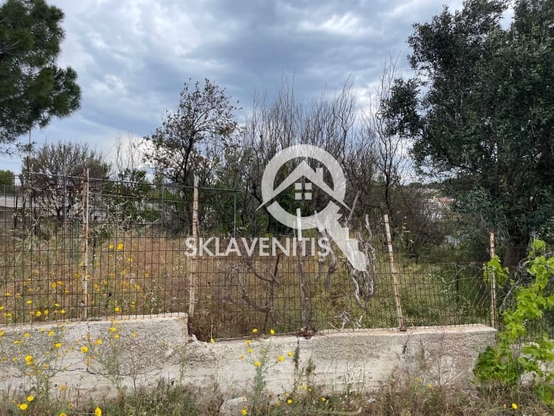 Οικόπεδο στην Βορινέζα, Αρτέμιδα (Λούτσα) — Φωτογραφία 5 από 6