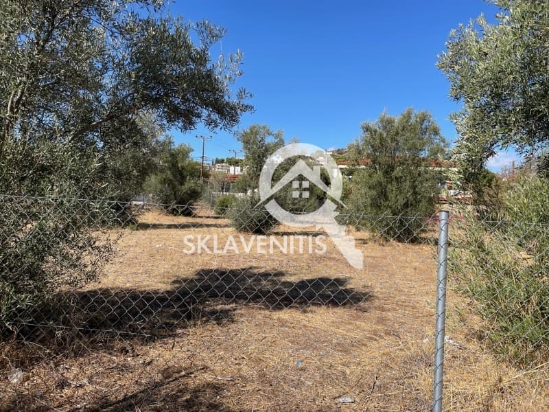 Οικόπεδο στην Βορινέζα, Αρτέμιδα (Λούτσα) — Φωτογραφία 2 από 4