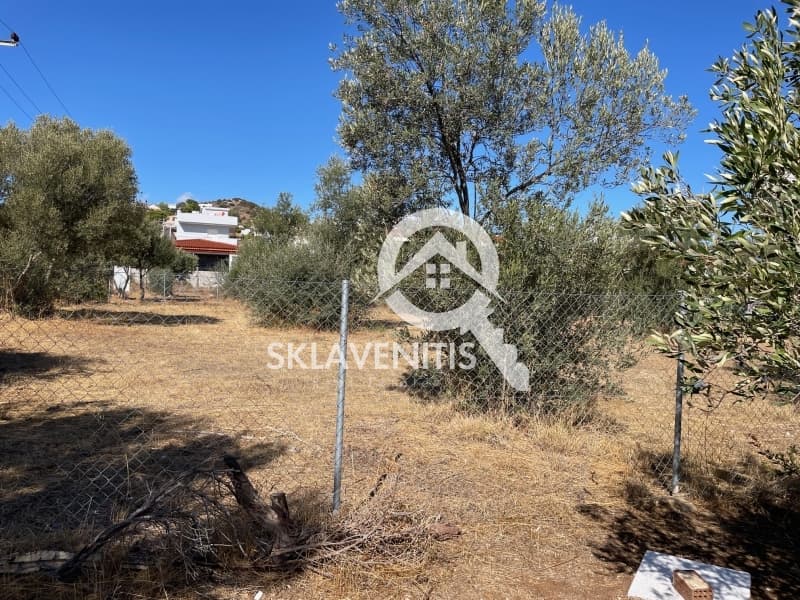 Οικόπεδο στην Βορινέζα, Αρτέμιδα (Λούτσα) — Φωτογραφία 1 από 4